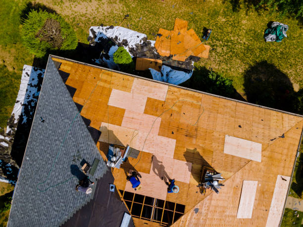 Best Shingle Roofing Installation  in Laurel Hill, VA