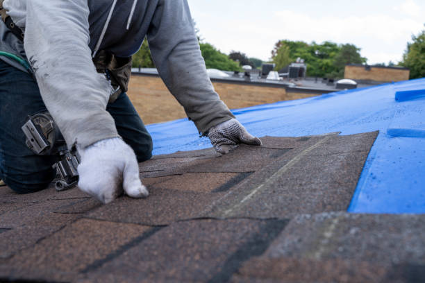 Best Roof Maintenance Services  in Laurel Hill, VA
