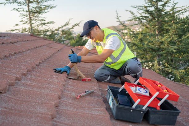 Sealant for Roof in Laurel Hill, VA